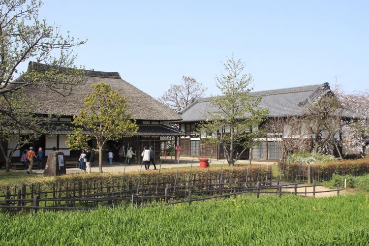 都市農業公園