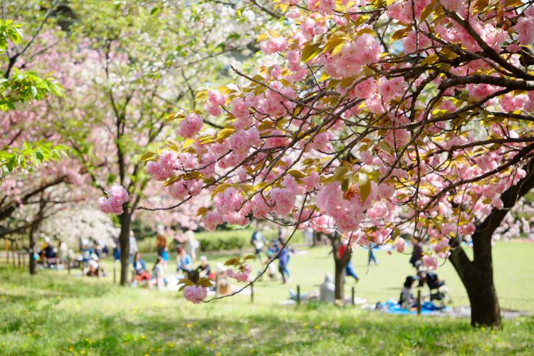 都市農業公園