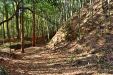 滝山城