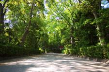 井草八幡宮