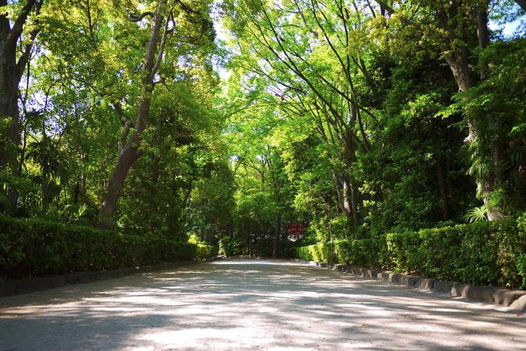 井草八幡宮