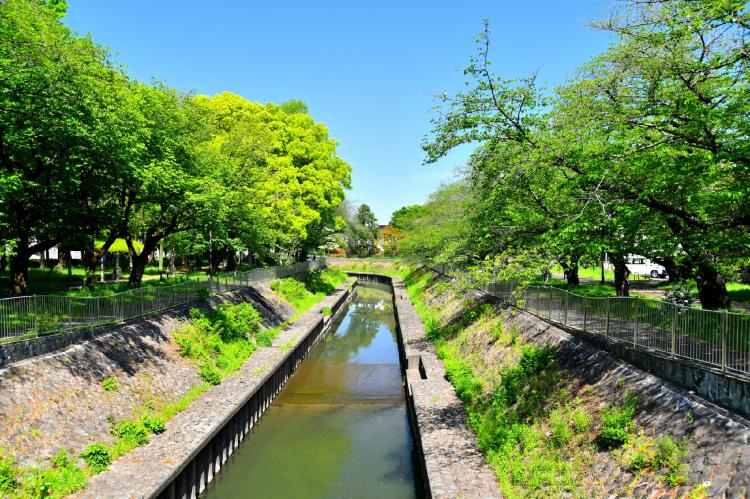 善福寺川緑地