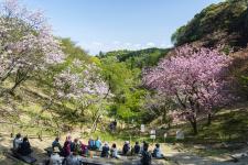 森林総合研究所　多摩森林科学園