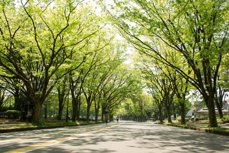 駒沢オリンピック公園