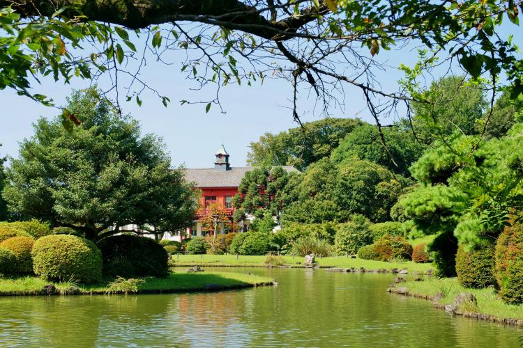 東京大学大学院理学系研究科附属植物園(小石川植物園)