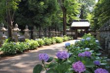 妙法寺
