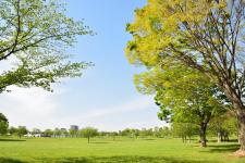 舎人公園