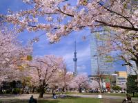 錦糸公園