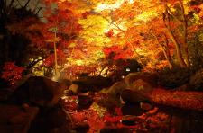 大田黒公園