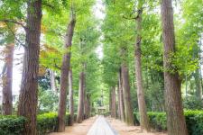 大田黒公園