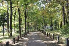 柏の宮公園