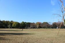 柏の宮公園