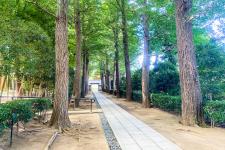 和田堀公園