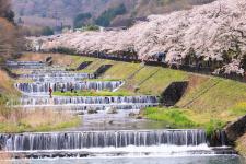 宮城野早川堤