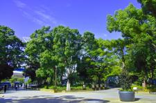 横浜：関内地区歴史的建築物群