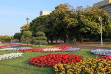 山下公園（横浜：山下地区）