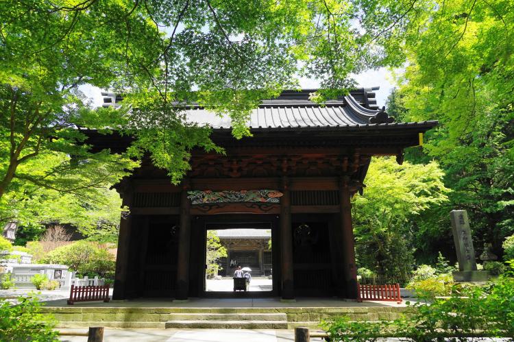 妙本寺（鎌倉）