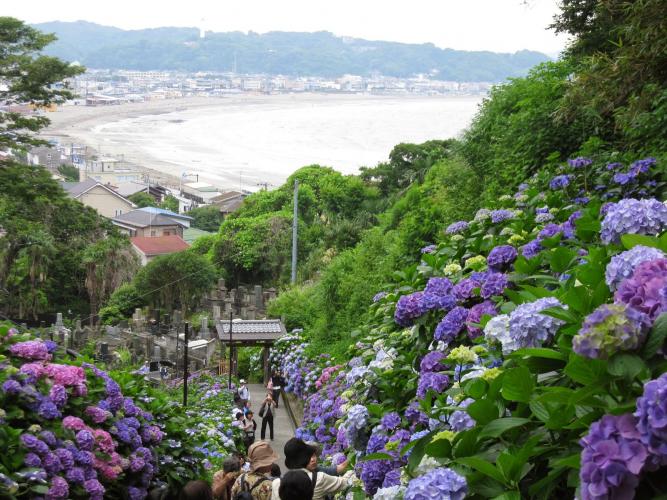 長谷寺(鎌倉)
