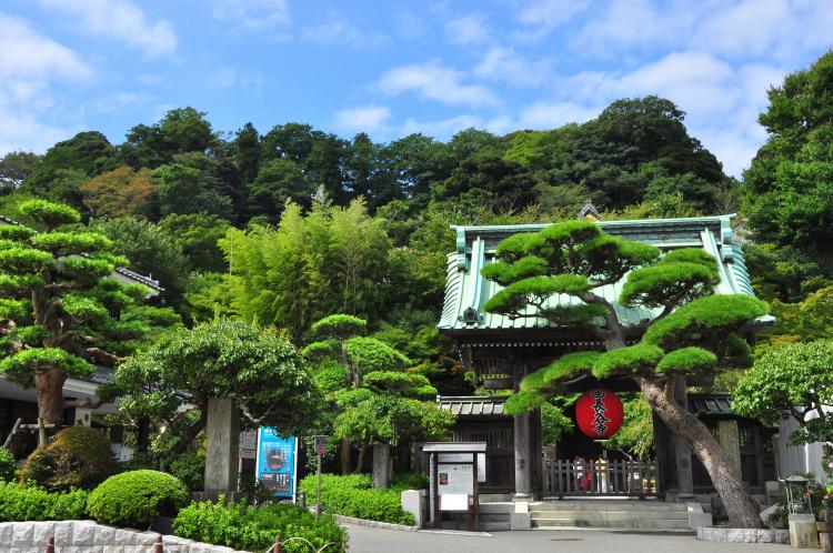 長谷寺(鎌倉)