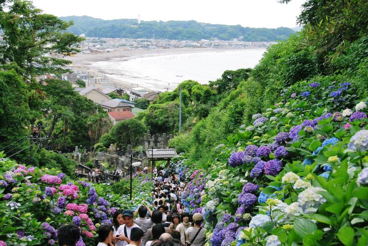 長谷寺(鎌倉)