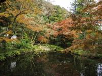 鶴岡八幡宮（鎌倉）