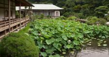 光明寺（鎌倉）