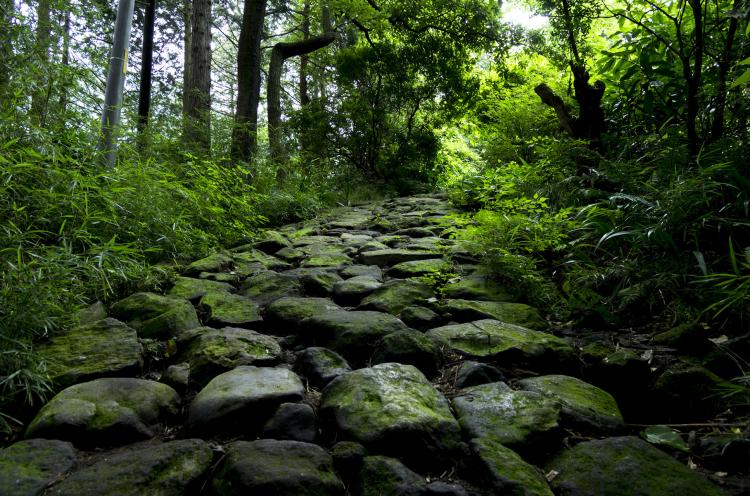 箱根旧東海道石畳