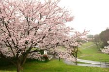県立四季の森公園