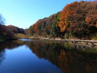 県立四季の森公園
