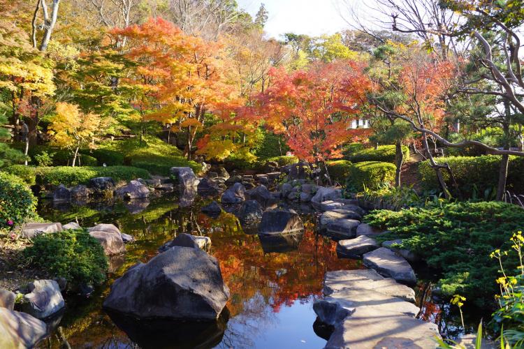 県立大磯城山公園