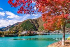 丹沢湖