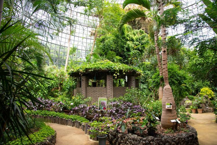 小田原フラワーガーデン ドライブコンサルタント 小田原フラワーガーデン ドライブコンサルタント