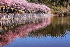 小松ケ池公園