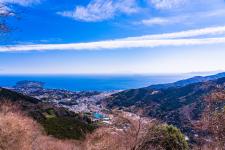 幕山公園（湯河原梅林）