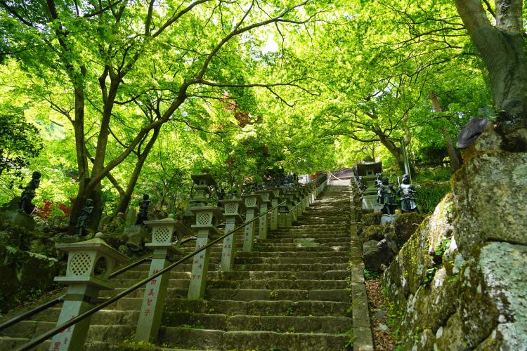 大山寺(大山不動)