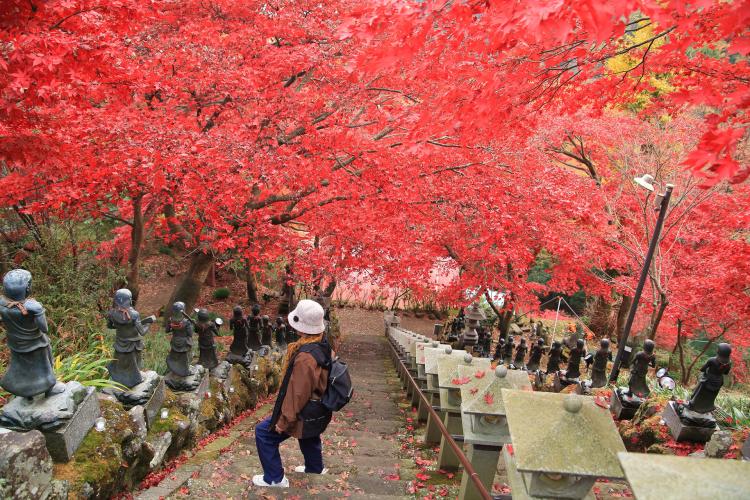 大山寺(大山不動)
