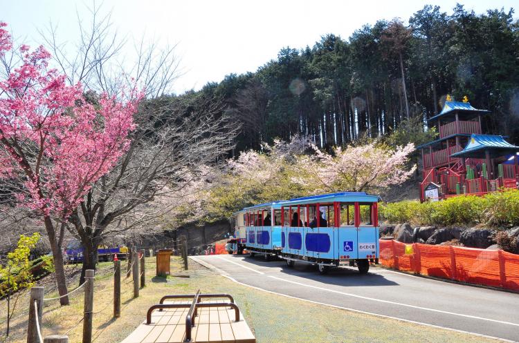 こどもの森わんぱくらんど