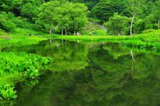 湯沢高原アルプの里