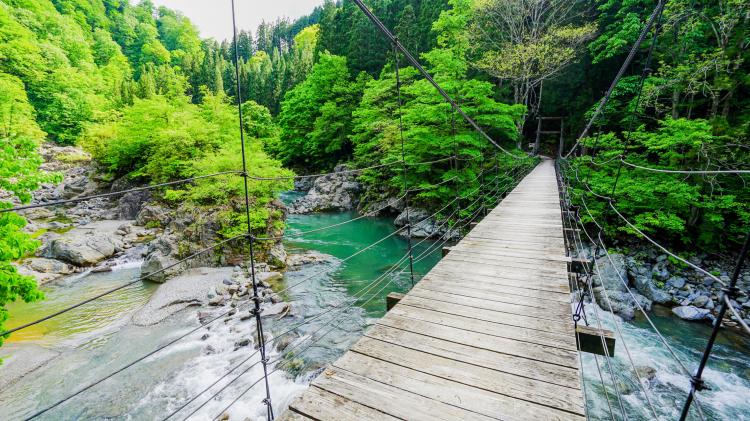 見倉橋 ドライブコンサルタント 見倉橋 ドライブコンサルタント