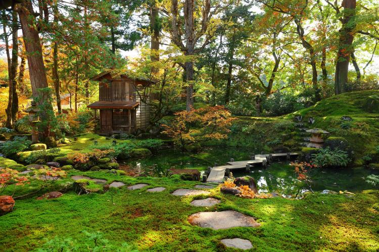 貞観園 ドライブコンサルタント