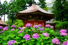 蓮華峰寺