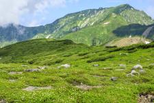 室堂平遊歩道（立山黒部）