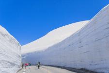 雪の大谷