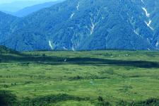 弥陀ヶ原（立山黒部）