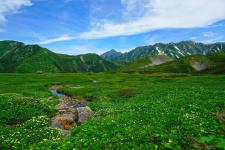 天狗平（立山黒部）