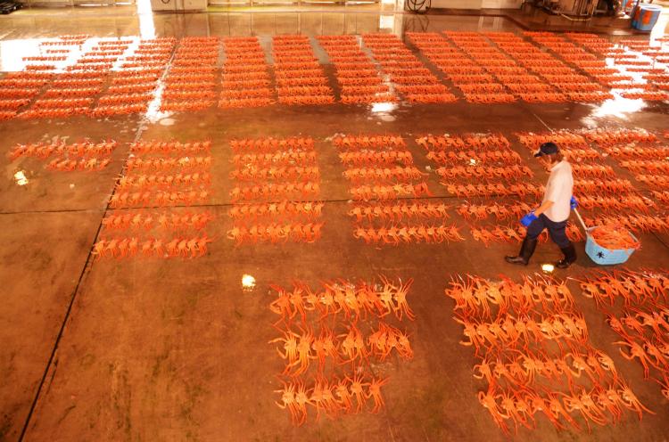 新湊卸売市場(新湊漁協)