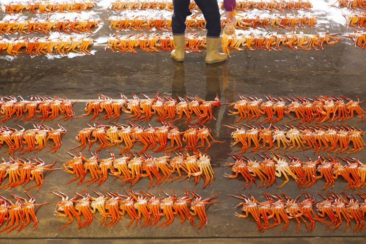 新湊卸売市場(新湊漁協)