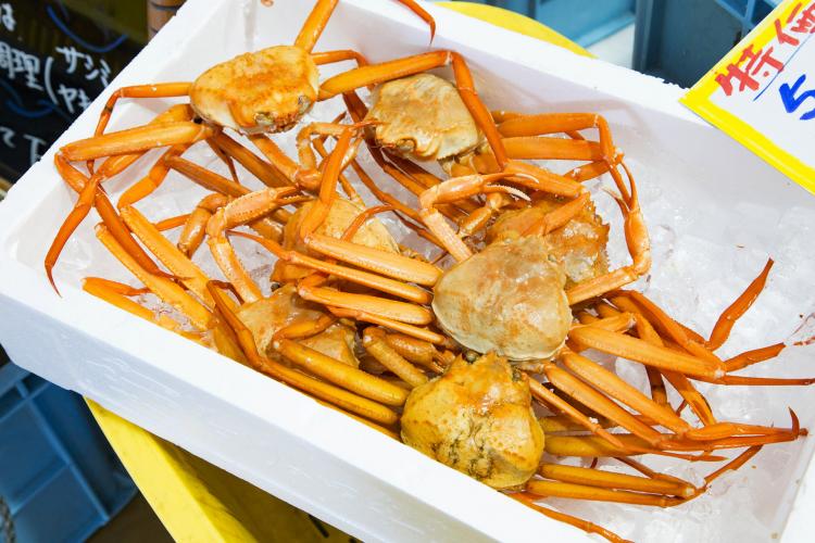 新湊卸売市場(新湊漁協)