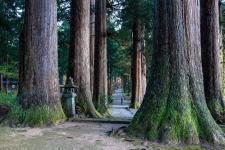 雄山神社（芦峅中宮祈願殿）