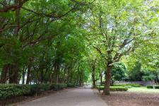 行田公園